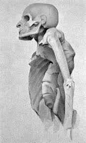 C:\Users\Remo\Desktop\nerio\Pott' disease in mummy.png