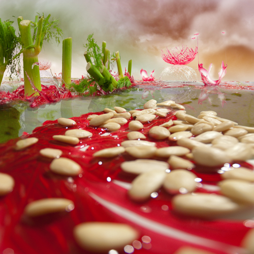 DCamaioni_NuclearLand2_2011