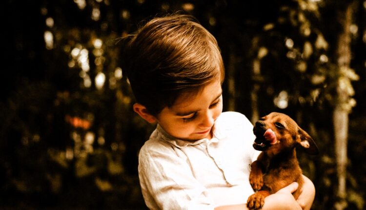 Bambino con cane