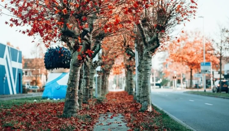 Autunno
